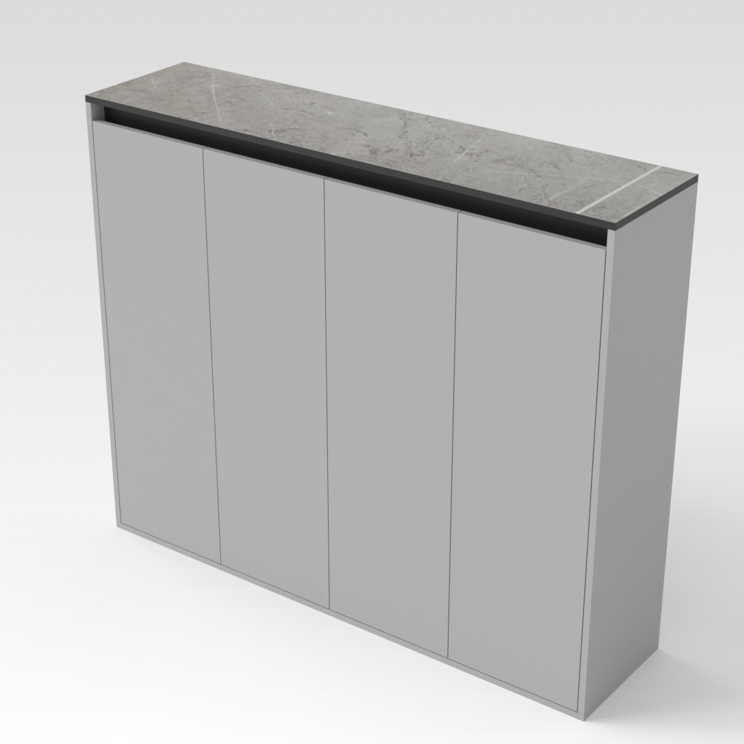 Light Gray & Black Shoe Cabinet