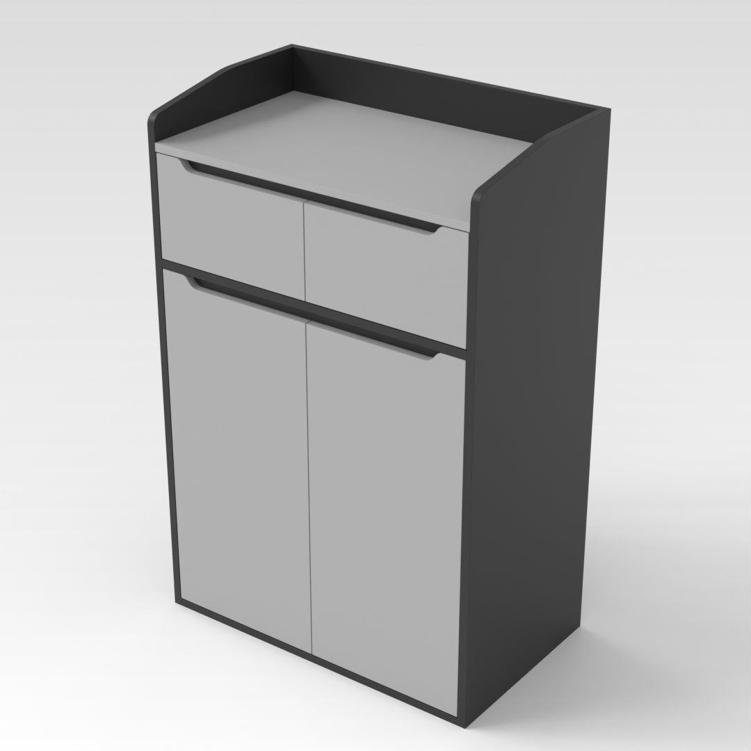 Black & Light Gray Shoe Cabinet