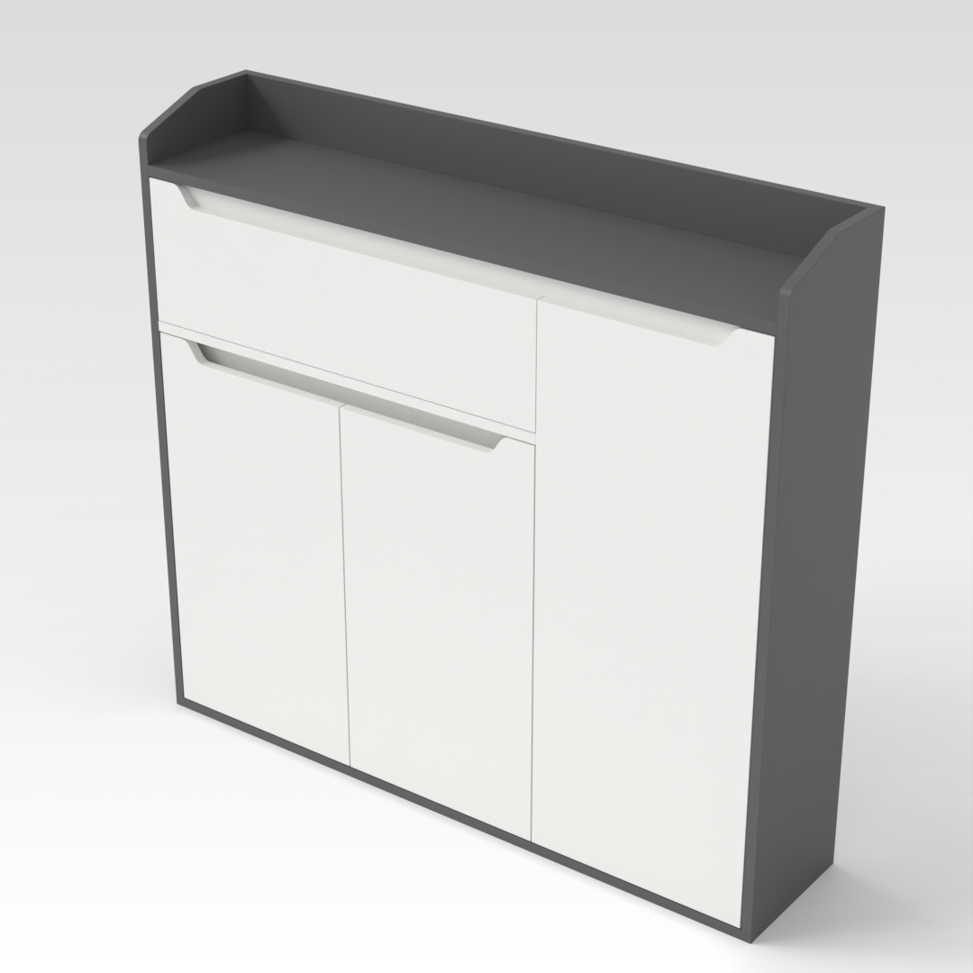 Sky Gray & Warm White Shoe Cabinet