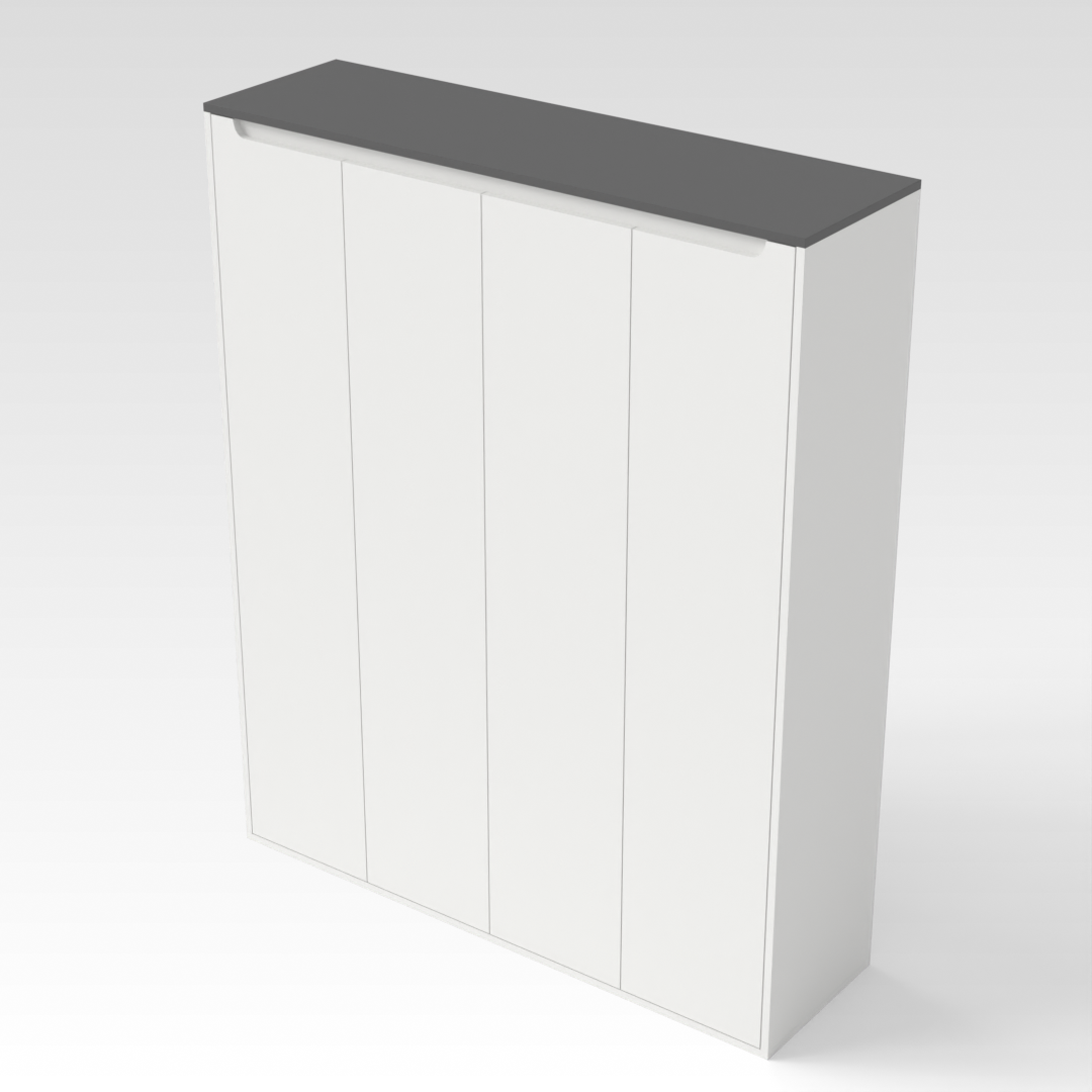 Warm White & Sky Gray Shoe Cabinet