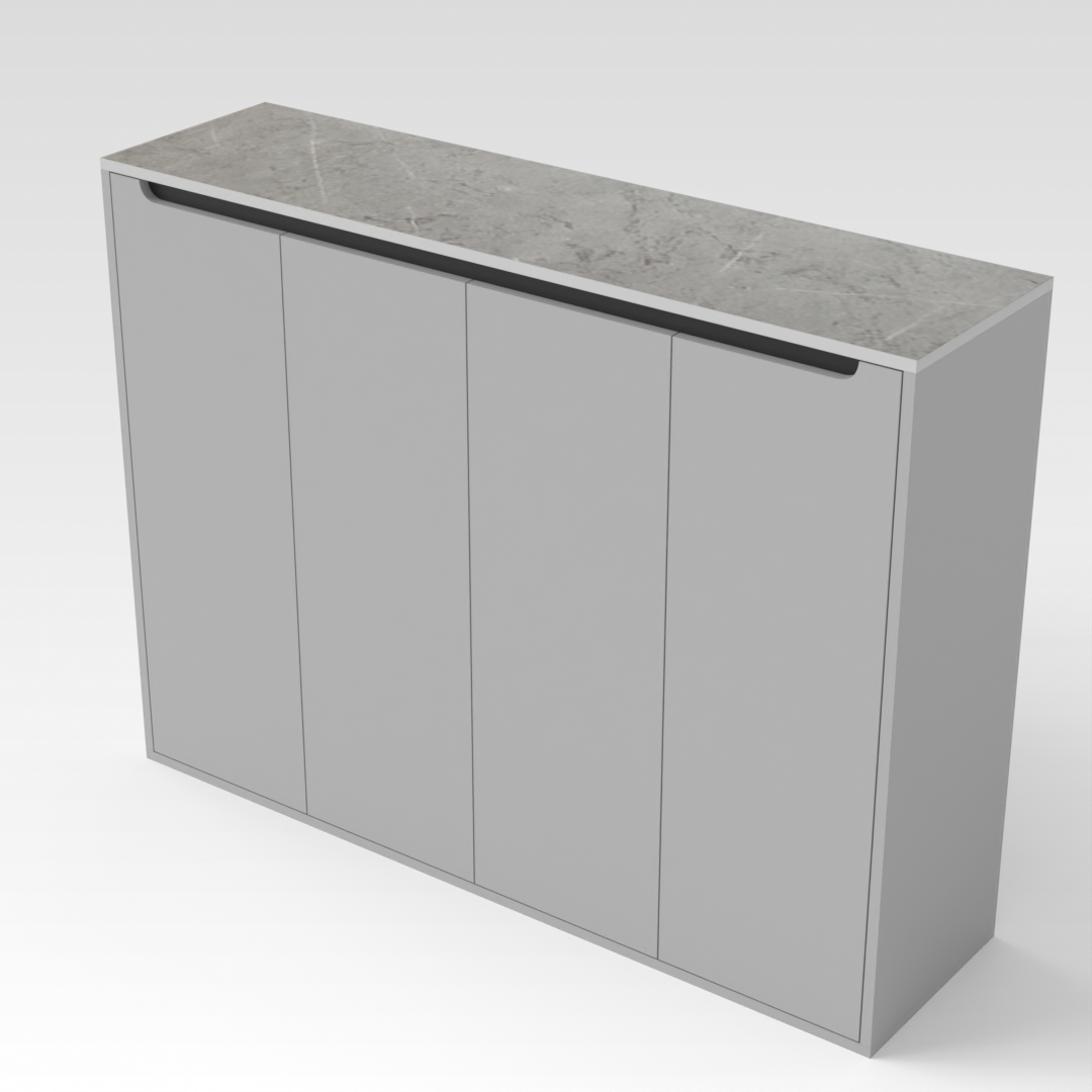 Light Gray & Black Shoe Cabinet