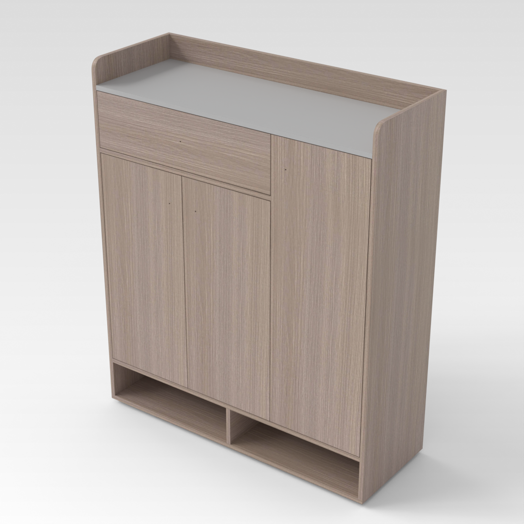 Graphite Gray & Light Gray Shoe Cabinet